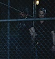 Filename=283.jpg
Filesize=220KiB
Dimensions=1920x1080
Date added=Aug 10, 2025 283.jpg